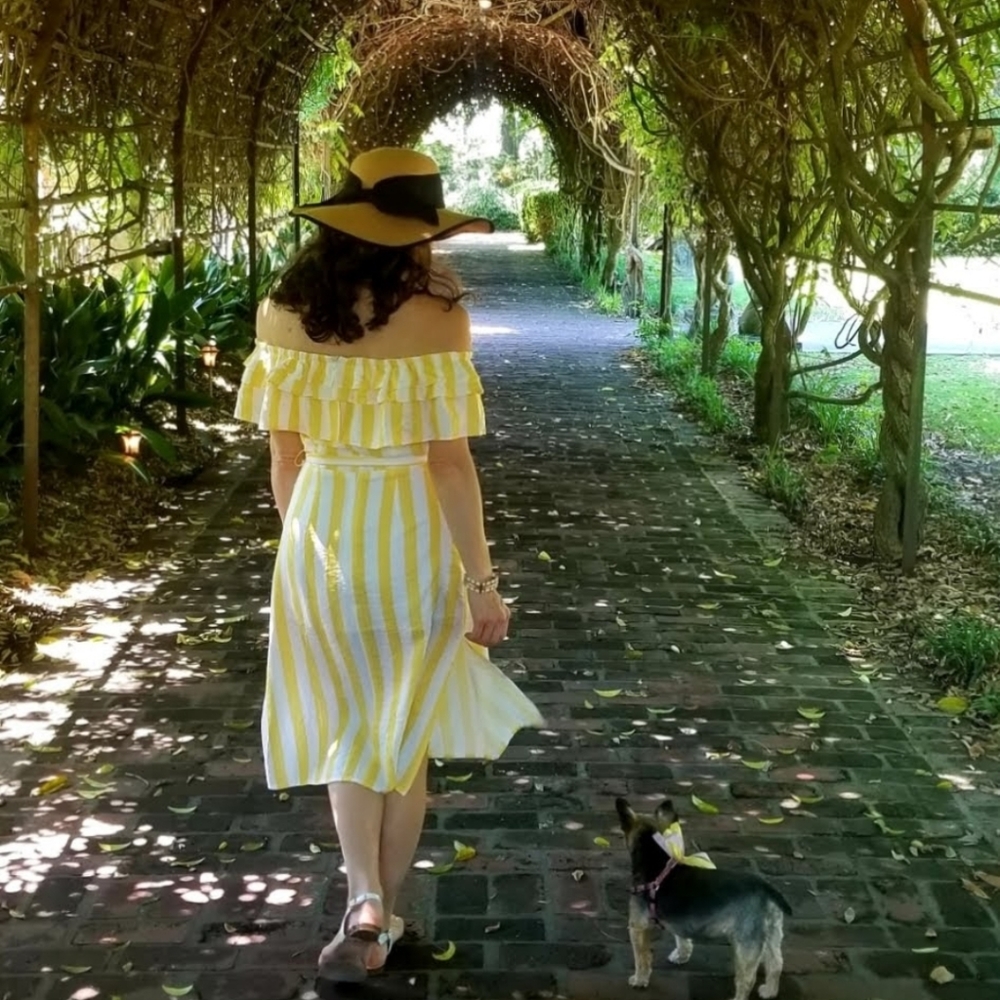 🌸Posh Ambassador 🌸The Ivy Closet - Picture 10 of 16